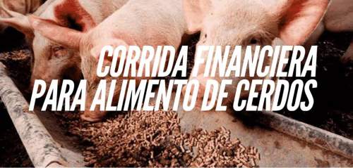 Corrida Financiera Para Alimento Para Cerdos