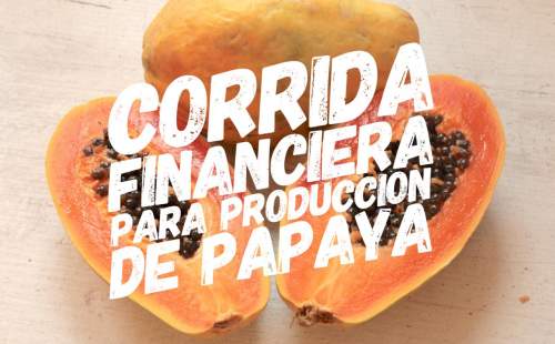 Corrida Financiera para Produccion de papaya