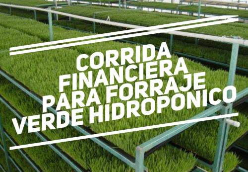 Corrida Financiera Para Forraje Verde Hidropónico