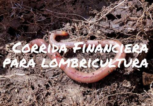 Corrida Financiera Para Lombricultura