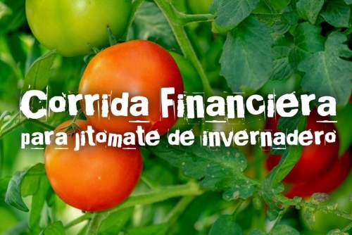 Corrida Financiera para Jitomate en Invernadero