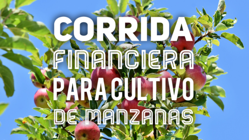 Corrida Financiera para Cultivo de Manzana