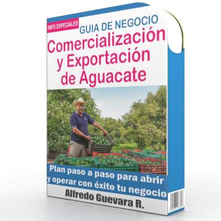 Como Abrir una Comercializadora y Exportadora de Aguacate