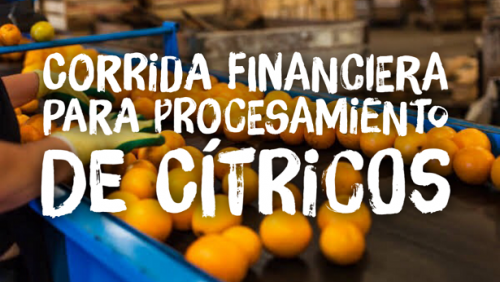 Corrida Financiera para Procesamiento de Citricos