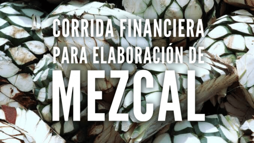 Corrida Financiera para Elaboración de Mezcal