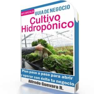 Como Iniciar un Cultivo Hidropónico - Guía de Negocio