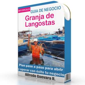 Como Abrir una Granja de Langostas - Guía de Negocio