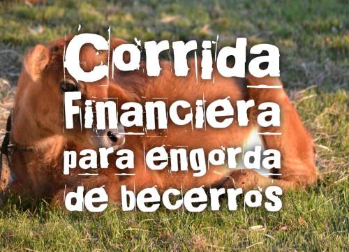 Corrida Financiera para Engorda de Becerros
