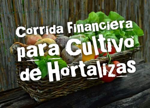 Corrida Financiera para Cultivo de Hortalizas