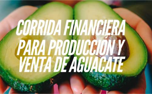 Corrida Financiera para Produccion y Venta de Aguacate Hass