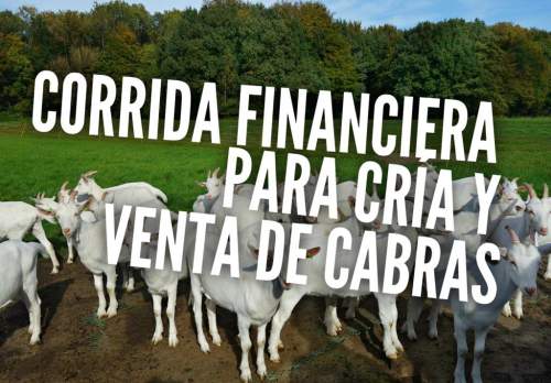 Corrida Financiera para Cría y Venta de Cabras