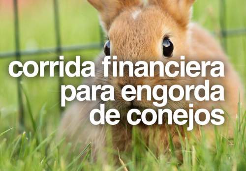 Corrida Financiera para Cra y Engorda de Conejos