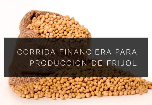 Corrida Financiera para Producción de Frijol
