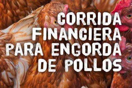 Corrida Financiera para Engorda de Pollos