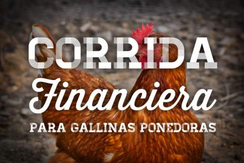 Corrida Financiera para Gallinas Ponedoras