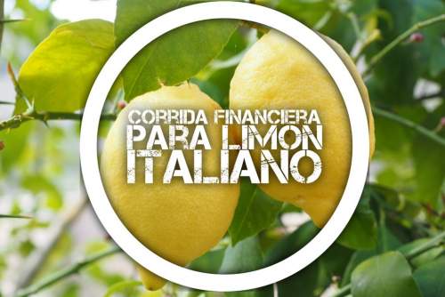 Corrida Financiera para Limón Italiano
