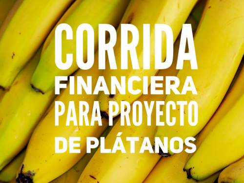 Corrida Financiera para Cultivo de Plátanos
