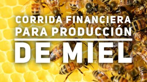 Corrida Financiera para Producción de Miel Apicola
