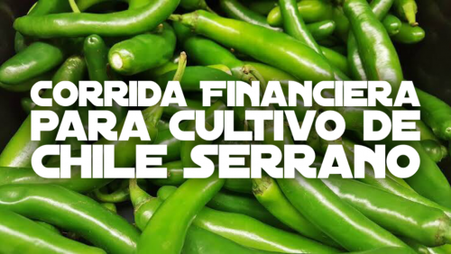 Corrida Financiera para Cultivo de Chile Serrano
