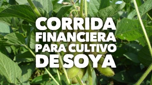 Corrida Financiera para Cultivo de Soya