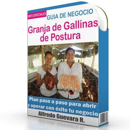 Como Abrir una Granja De Gallinas de Postura