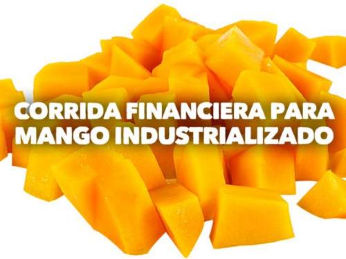 Corrida Financiera para Mango Industrializado