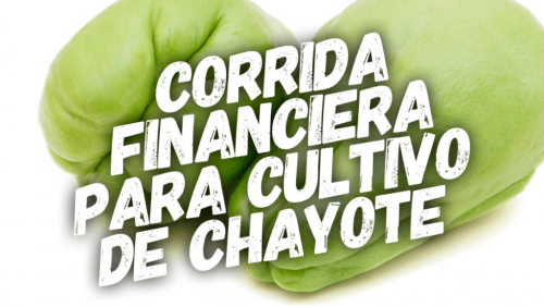 Corrida Financiera para Cultivo de Chayote