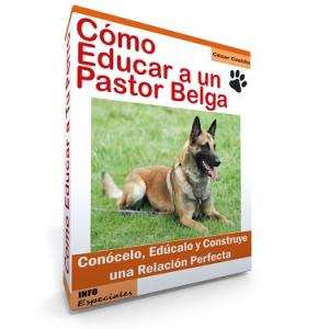 Como Educar a un Perro Pastor Belga - Guía de Adiestramiento