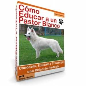 Como Educar a un Perro Pastor Blanco - Guía de Entrenamiento