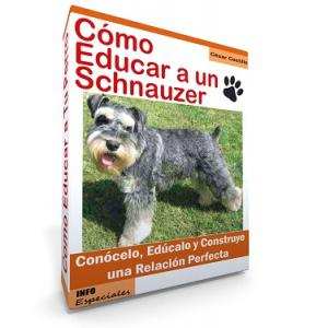 Como Educar a un Perro Schnauzer - Guía de Adiestramiento