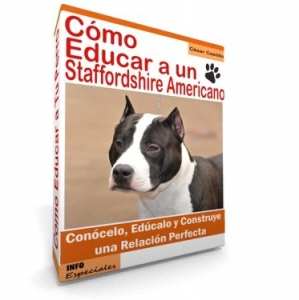 Como Educar a un Perro Staffordshire Americano - Guía de Entrenamiento